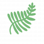 fern by Andrea Younes from the Noun Project