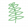 fern by MRFA from the Noun Project